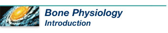 Bone Physiology Introduction