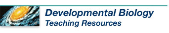 Developmental Biology Teaching Resources